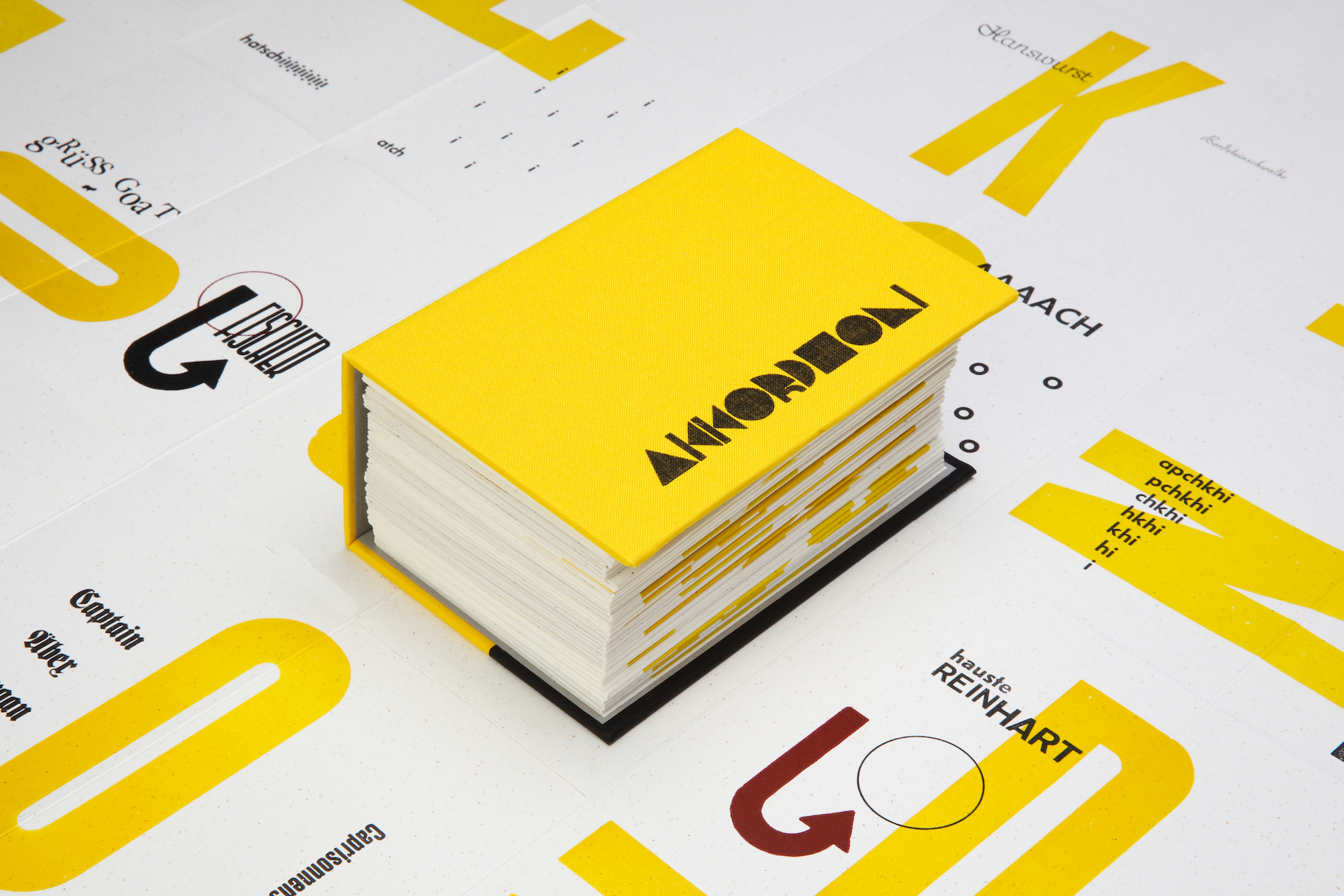 Akkordeon project