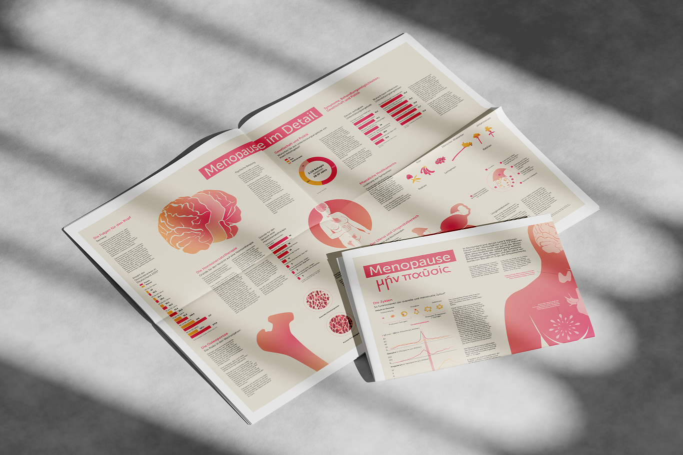 Menopause project